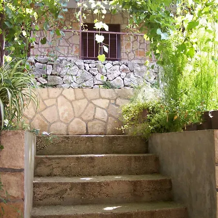 Apartment Green Jelsa